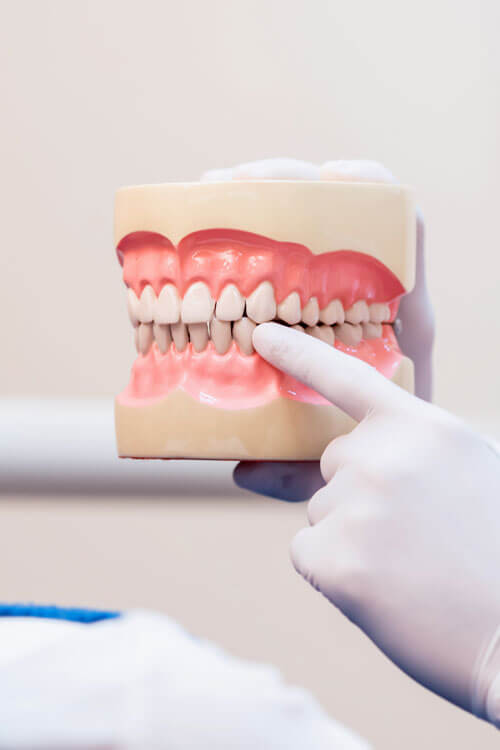 Dentist Examining Dentures